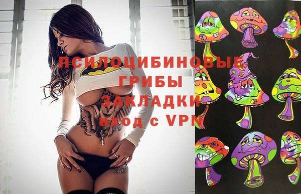 дмт Балабаново