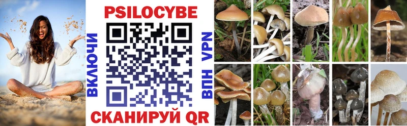 где найти   Воскресенск  Галлюциногенные грибы Cubensis 