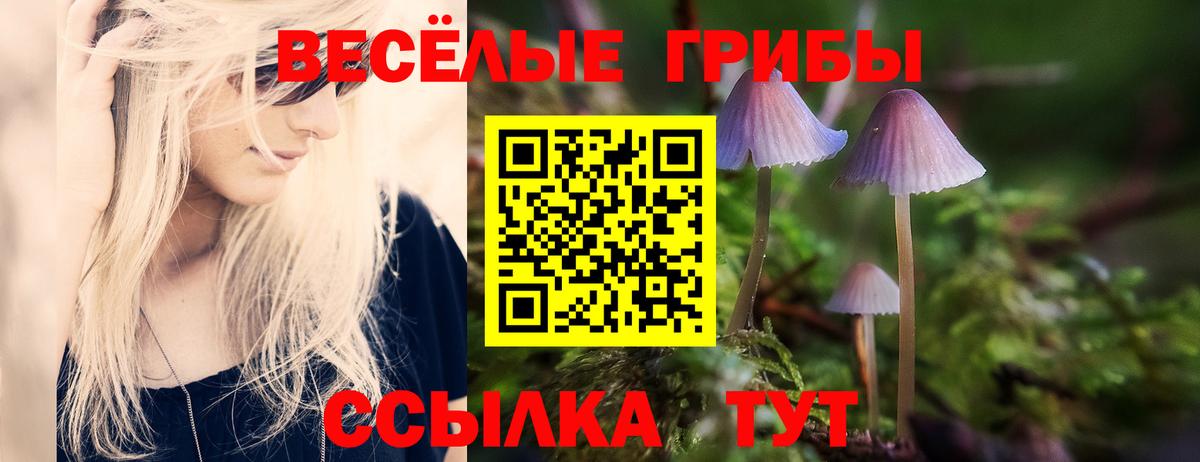 Воскресенск  Галлюциногенные грибы MAGIC MUSHROOMS  как найти наркотики  Вход с VPN 
